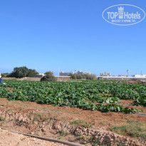 фото из отзыва ID 1443523