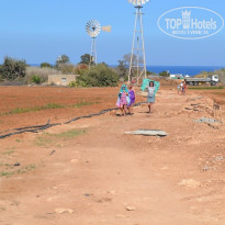 фото из отзыва ID 1443523