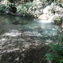 фото из отзыва ID 1443554