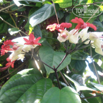 фото из отзыва ID 1443595