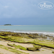 фото из отзыва ID 1443628