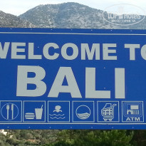 фото из отзыва ID 1443661