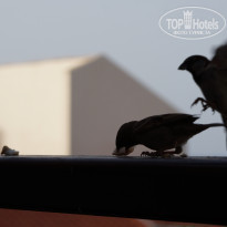 фото из отзыва ID 1443680