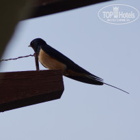 фото из отзыва ID 1443680