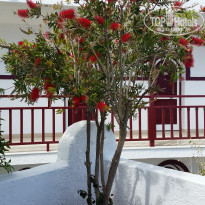 фото из отзыва ID 1443803