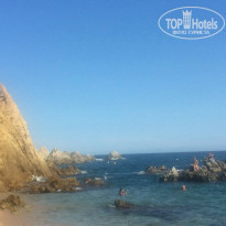 фото из отзыва ID 1442923