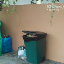 фото из отзыва ID 1443843