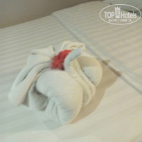 фото из отзыва ID 1443848