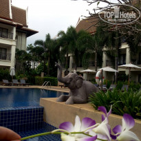 фото из отзыва ID 1443848