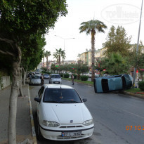 фото из отзыва ID 1443967