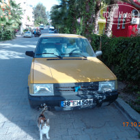 фото из отзыва ID 1443967