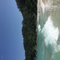 фото из отзыва ID 1444073