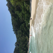 фото из отзыва ID 1444073