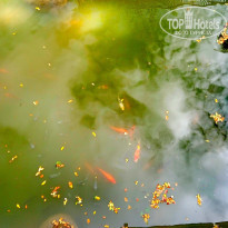 фото из отзыва ID 1442539