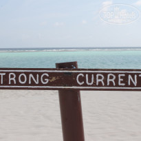 фото из отзыва ID 1444308