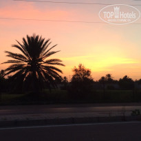 фото из отзыва ID 1444481