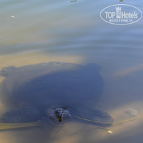 фото из отзыва ID 1444122