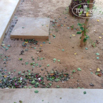 фото из отзыва ID 1444534