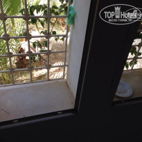 фото из отзыва ID 1444534