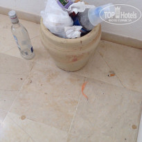 фото из отзыва ID 1444534