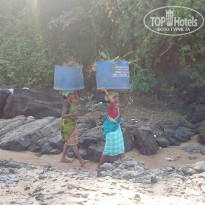 фото из отзыва ID 1442730