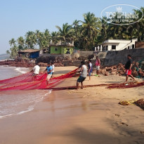 фото из отзыва ID 1442730