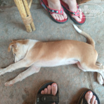 фото из отзыва ID 1444618