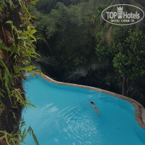 фото из отзыва ID 1444626