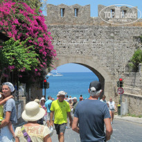 фото из отзыва ID 1444681