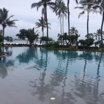 фото из отзыва ID 1445008