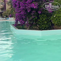 фото из отзыва ID 1445120