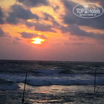 фото из отзыва ID 1445134