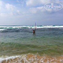 фото из отзыва ID 1445134