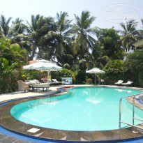 фото из отзыва ID 1445127