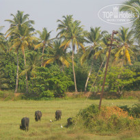 фото из отзыва ID 1445127