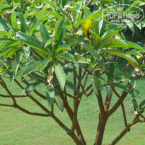 фото из отзыва ID 1445127