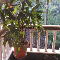 фото из отзыва ID 1444366