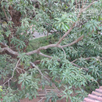 фото из отзыва ID 1444366