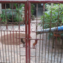 фото из отзыва ID 1444366