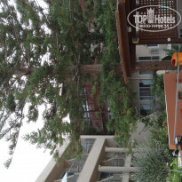 фото из отзыва ID 1445191