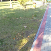 фото из отзыва ID 1443793