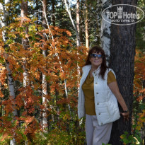 фото из отзыва ID 1445310