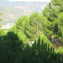 фото из отзыва ID 1445359