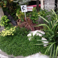 фото из отзыва ID 1444627