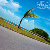 фото из отзыва ID 1445557