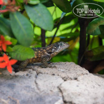 фото из отзыва ID 1445557