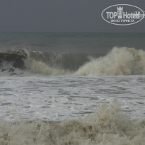 фото из отзыва ID 1445568