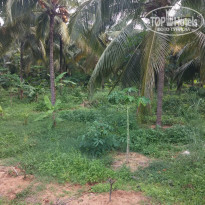 фото из отзыва ID 1445568