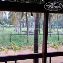 фото из отзыва ID 1445568