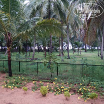 фото из отзыва ID 1445568